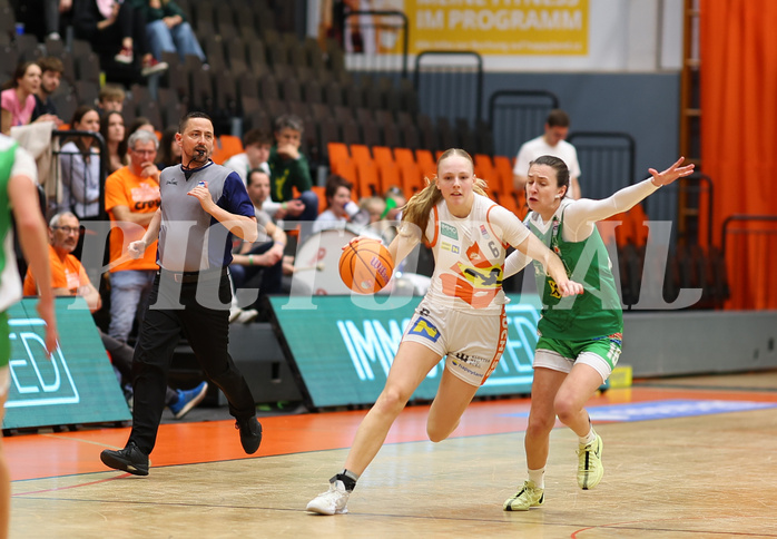 Basketball Damen Superliga 2024/25, Playoffs, Finale Spiel 2 Duchess Klosterneuburg vs. UBI Graz
Basketball Damen Superliga 2024/25, Playoffs, Finale Spiel 2 Duchess Klosterneuburg vs. UBI Graz