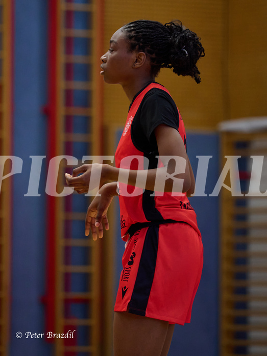 Basketball Superliga 2024/25, SLMU16 Traiskirchen Lionesses vs. VKL Vikings Kammer


