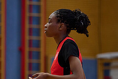 Basketball Superliga 2024/25, SLMU16 Traiskirchen Lionesses vs. VKL Vikings Kammer


