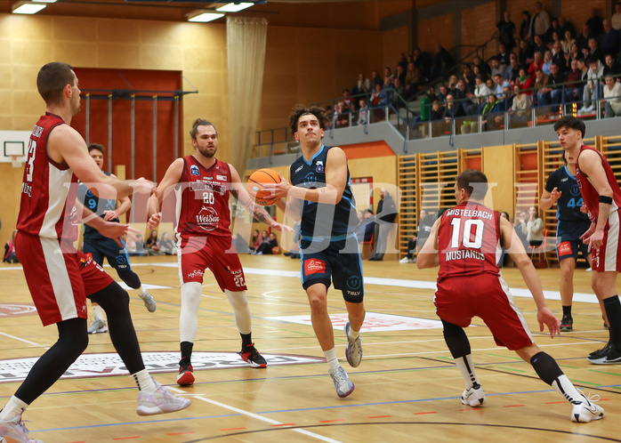 Basketball Zweite Liga 2024/25, Grunddurchgang 15.Runde Mistelbach Mustangs vs. Vienna Timberwolves