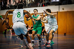 Basketball, Basketball Zweite Liga 2024/25, Grunddurchgang 16.Runde, UDW Alligators, KOS Celovec, Niklas Michel (3)