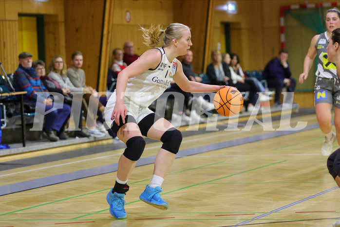 Basketball Damen Superliga 2023/24, Grunddurchgang .Runde Basket Flames vs. Duchess Klosterneuburg


