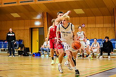 Österreichischer Basketballverband 2024/25, SLMU19, Vienna United vs. LZ Traiskirchen LIONS


