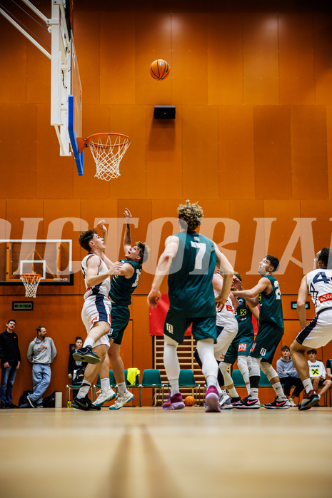 Basketball, Basketball Zweite Liga 2024/25, Grunddurchgang 12.Runde, Vienna Timberwolves, Dornbirn Lions, 