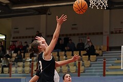 Basketball Superliga 2024/25, SLWU14 Traiskirchen Lionesses vs. ATUS Gratkorn Scorpions


