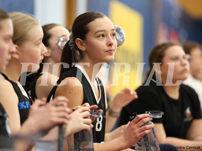 Basketball Superliga 2024/25, SLWU16 Traiskirchen Lionesses vs. DBK Steyrer Witch Cadets


