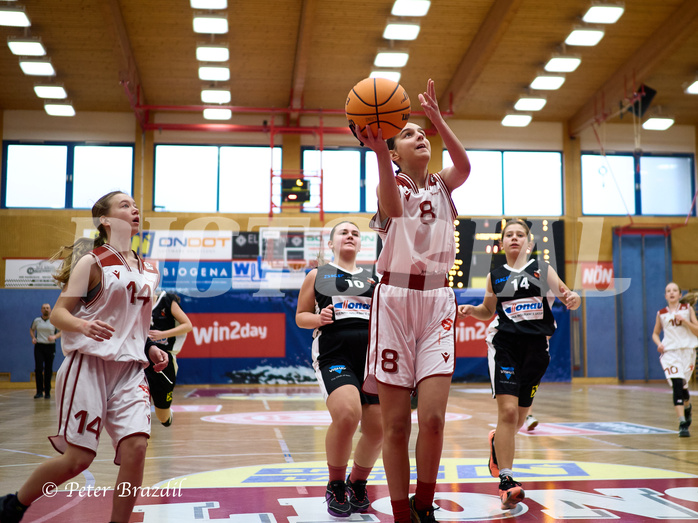 Basketball Superliga 2024/25, SLWU14 Traiskirchen Lionesses vs. DBK Steyrer Witches


