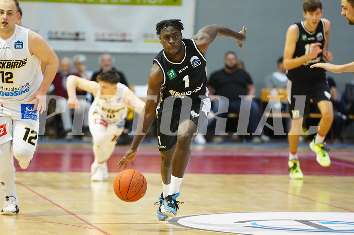 Basketball 2. Liga 2022/23, Semifinale Spiel 2 , Guessing vs. Tirol


