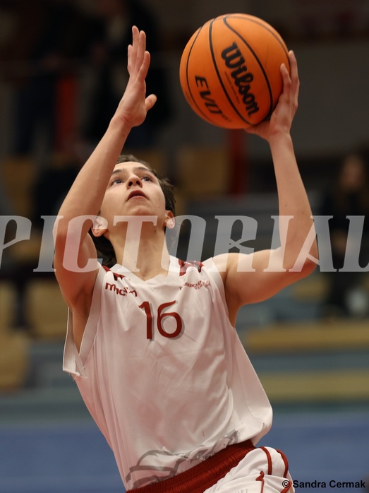 Basketball Superliga 2024/25, SLMU16 Traiskirchen Lions vs. St. Pölten


