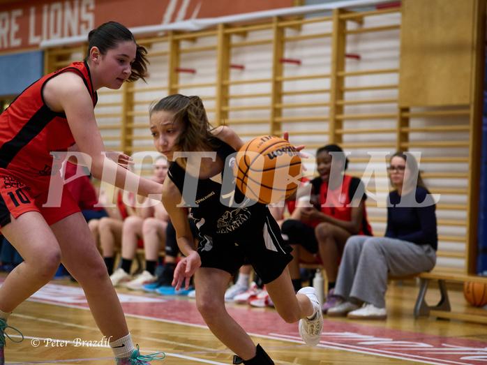 Basketball Superliga 2024/25, SLWU16 Traiskirchen Lionesses vs. BBC Nord Dragons


