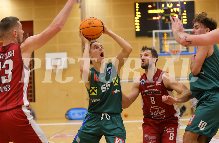Basketball Zweite Liga 2023/24, Grunddurchgang 16.Runde Mistelbach Mustangs vs. Dornbirn Lions


