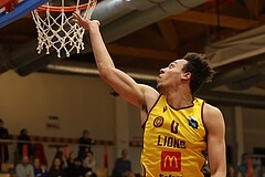 Basketball Zweite Liga 2024/25, Grunddurchgang 11.Runde Traiskirchen Lions NextGen vs. Güssing Blackbirds


