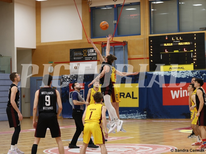 Basketball Zweite Liga 2024/25, Grunddurchgang 22.Runde Traiskirchen Lions NextGen vs. Mistelmach Mustangs