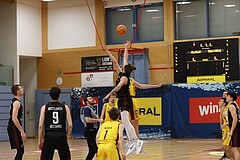 Basketball Zweite Liga 2024/25, Grunddurchgang 22.Runde Traiskirchen Lions NextGen vs. Mistelmach Mustangs


