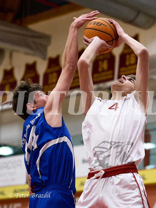 Basketball Superliga 2024/25, SLMU16 Traiskirchen Lionesses vs. FCN Baskets Wels


