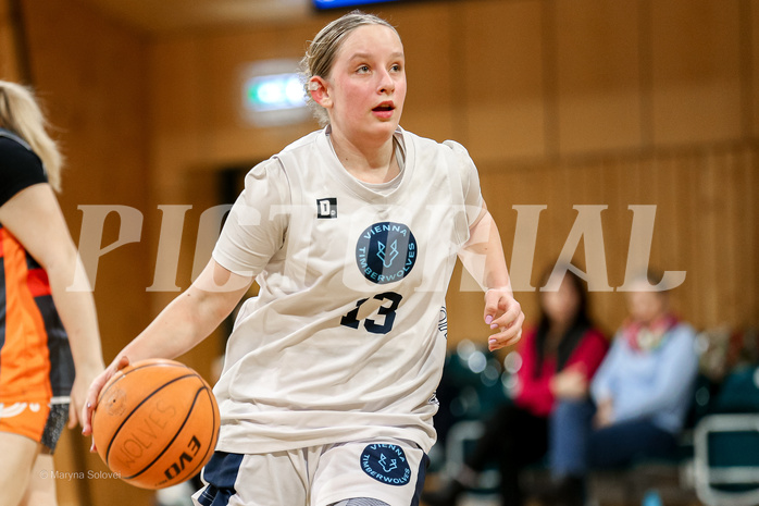 23.02.2025 Österreichischer Basketballverband 2024/25, SLWU16 Vienna Timberwolves vs. Basket Duchess