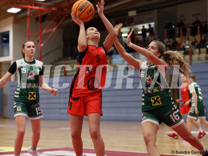 Basketball Superliga 2024/25, SLWU14 Traiskirchen Lionesses vs. UBI Graz



