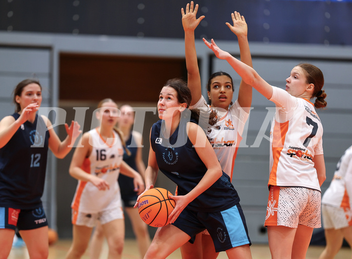 Basketball Superliga SLMU19 Basket Duchess vs. Vienna Timberwolves


