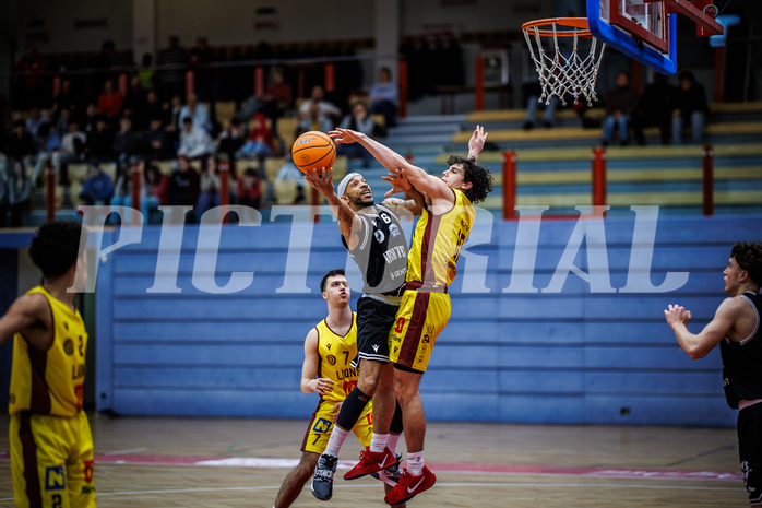 Basketball, Basketball Zweite Liga 2024/25, Grunddurchgang 19.Runde, Traiskirchen Lions NexGen, Wörthersee Piraten, Shawn L. Ray (6), David Hofstädter (10)