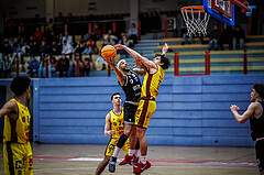 Basketball, Basketball Zweite Liga 2024/25, Grunddurchgang 19.Runde, Traiskirchen Lions NexGen, Wörthersee Piraten, Shawn L. Ray (6), David Hofstädter (10)