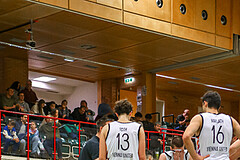 Basketball Zweite Liga 2024/25, Grunddurchgang 11.Runde Vienna United vs. Mistelbach Mustangs


