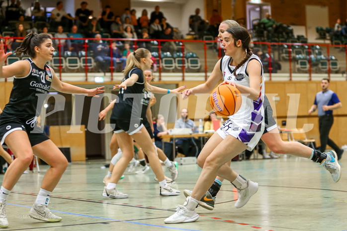 Basketball Damen Supercup 2024/25, 2.Runde Vienna United vs. Basket Flames