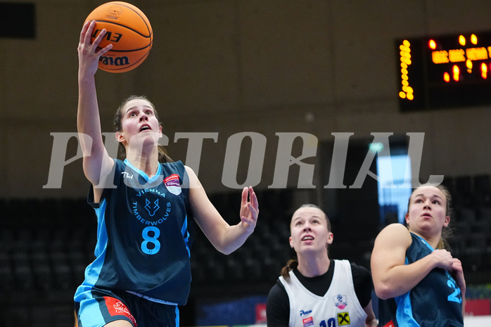 Basketball Damen Superliga 2023/24, Grunddurchgang, 14. Runde, UBSC Graz vs. Timberwolves


