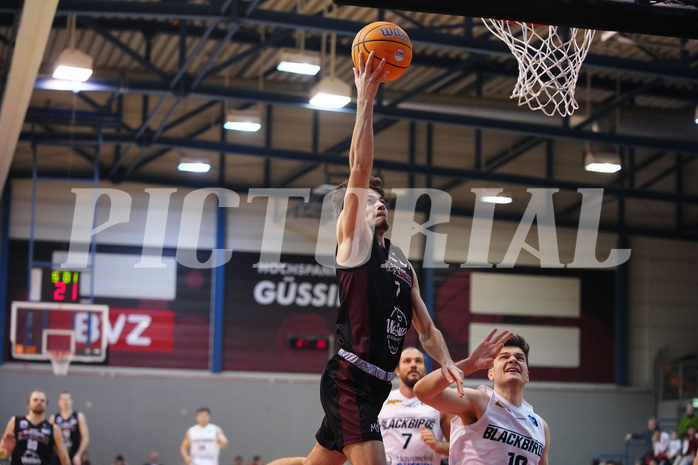 Basketball 2. Liga 2024/25, Grunddurchgang 20.Runde , Güssing vs. Mistelbach


