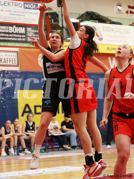 Basketball Superliga 2024/25, SLWU16 Traiskirchen Lionesses vs. DBK Steyrer Witch Cadets


