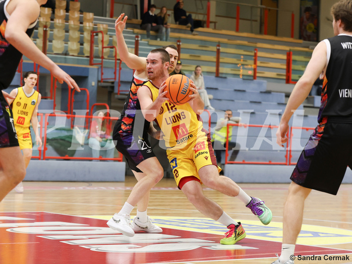 Basketball Zweite Liga 2024/25, Grunddurchgang 16.Runde Traiskirchen Lions NextGen vs. Vienna United



