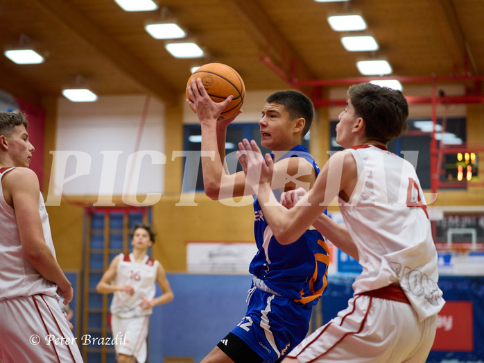 Basketball Superliga 2024/25, SLMU16 Traiskirchen Lionesses vs. FCN Baskets Wels


