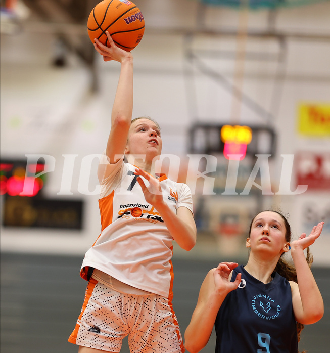 Basketball Superliga SLMU19 Basket Duchess vs. Vienna Timberwolves


