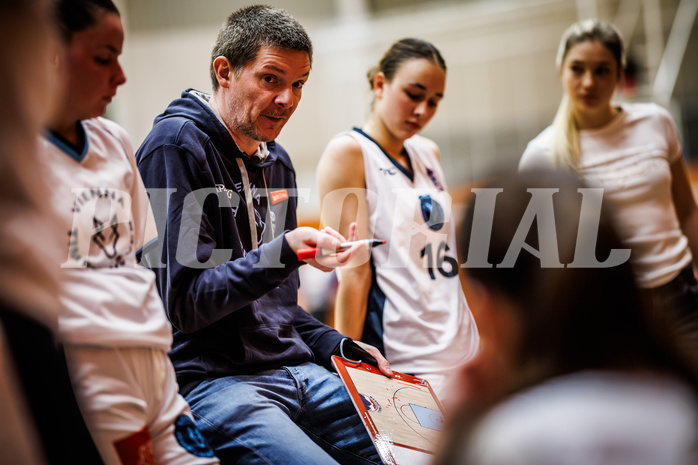 Basketball, Win2Day Basketball Damen Superliga 2024/25, Grunddurchgang 11.Runde, Vienna Timberwolves, Vienna United, Hubert Schmidt (Head Coach)