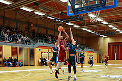 Basketball Zweite Liga 2024/25, Grunddurchgang 15.Runde Mistelbach Mustangs vs. Vienna Timberwolves


