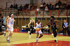 Basketball Superliga 2024/25, Grunddurchgang 19.Runde SKN St. Pölten vs. Fürstenfeld Panthers


