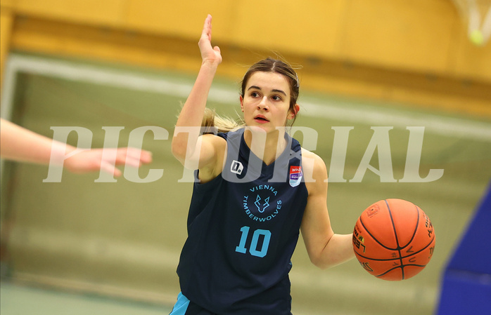 Basketball Damen Superliga 2022/23, Grunddurchgang 1.Runde Vienna United vs. D.C. Timberwolves
Basketball Damen Superliga 2022/23, Grunddurchgang 1.Runde Vienna United vs. D.C. Timberwolves