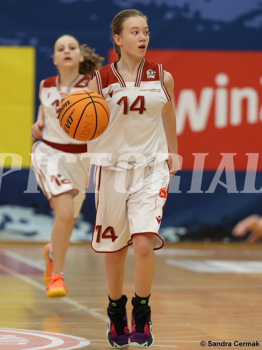 Basketball Superliga 2024/25, SLWU14 Traiskirchen Lionesses vs. ATUS Gratkorn Scorpions



