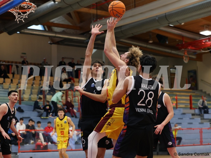 Basketball Zweite Liga 2024/25, Grunddurchgang 16.Runde Traiskirchen Lions NextGen vs. Vienna United


