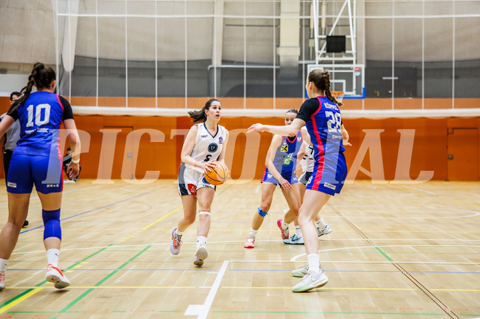Basketball, Win2Day Basketball Damen Superliga 2024/25, Grunddurchgang 10.Runde, Vienna Timberwolves, UBSC DBBC Graz, Aleksandra Novakovic (8)