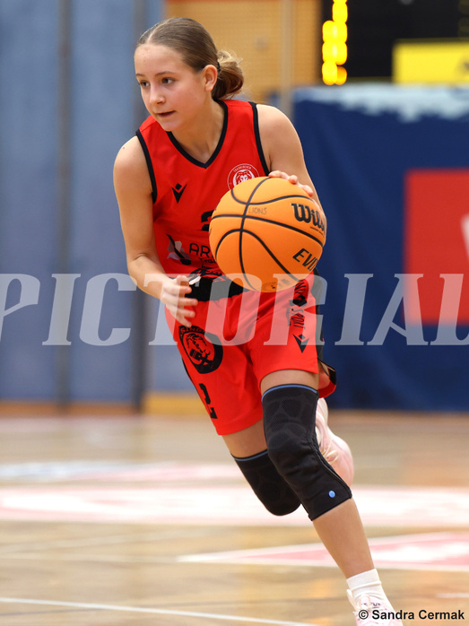 Basketball Superliga 2024/25, SLWU14 Traiskirchen Lionesses vs. UBI Graz


