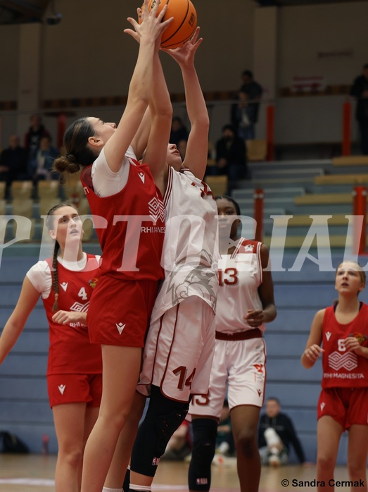 Basketball Superliga 2024/25, SLWU16 Traiskirchen Lions Young & Wild vs. Radenthein Garnet


