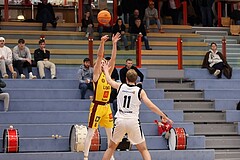 Basketball Zweite Liga 2024/25, Grunddurchgang 17.Runde Traiskirchen Lions NextGen vs. Raiders Tirol


