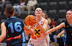 Basketball Damen Supercup 2024/25, 4.Runde BK Duchess Klosterneuburg vs. Vienna Timberwolves


