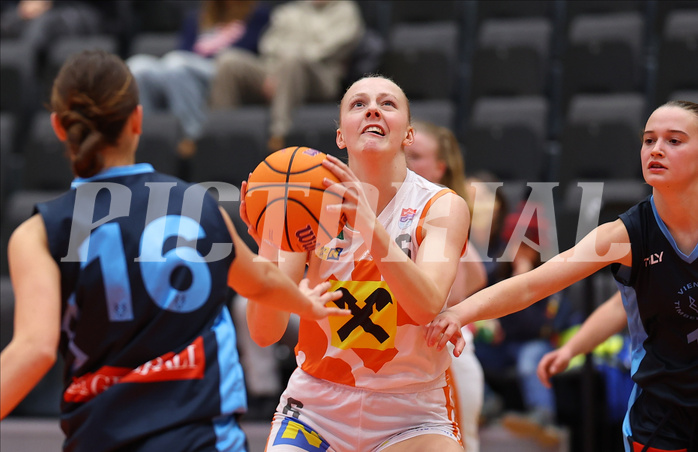 Basketball Damen Supercup 2024/25, 4.Runde BK Duchess Klosterneuburg vs. Vienna Timberwolves


