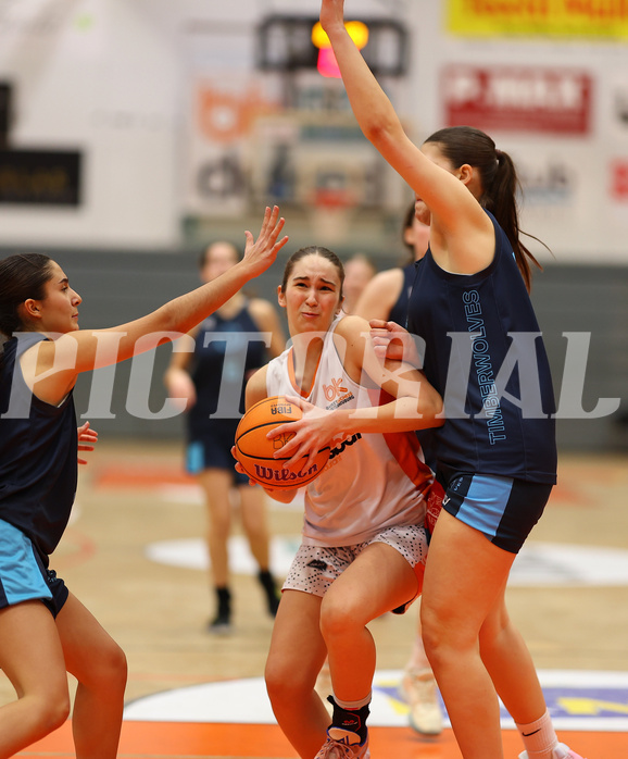 Basketball Superliga SLMU19 Basket Duchess vs. Vienna Timberwolves


