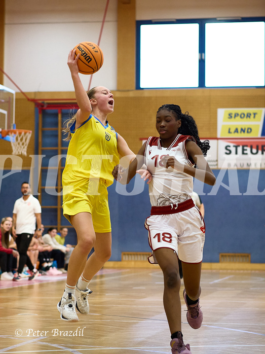 Basketball Superliga 2024/25, SLWU16 Traiskirchen Lionesses vs. UBBC Herzogenburg



