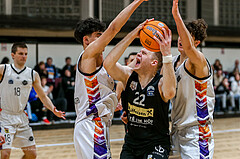 Basketball Zweite Liga 2024/25, Grunddurchgang 15.Runde Vienna United vs. Mattaersburg Rocks


