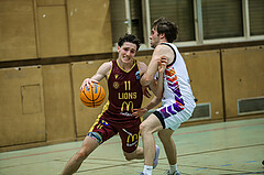 Basketball Zweite Liga 2024/25, Grunddurchgang 5.Runde Vienna United vs. Traiskirchen NextGen


