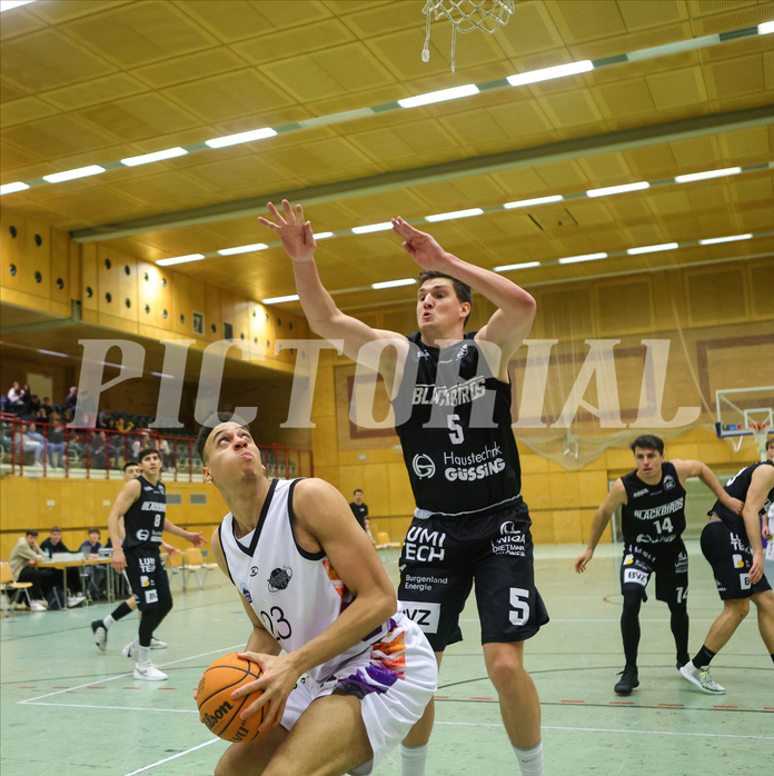 Basketball Zweite Liga 2023/24, Grunddurchgang 16.Runde Vienna United vs. Güssing Blackbirds


