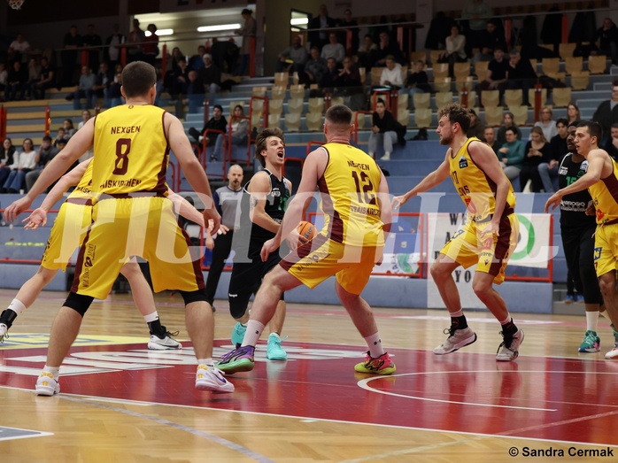 Basketball Zweite Liga 2024/25, Grunddurchgang 12.Runde Traiskirchen Lions NextGen vs. Deutsch Wagram Alligators
